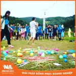 Áo thun đồng phục team building ARIS NAMA701
