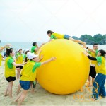 Đồng phục team building PQ12