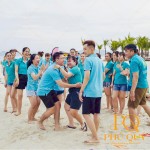 Đồng phục team building PQ17